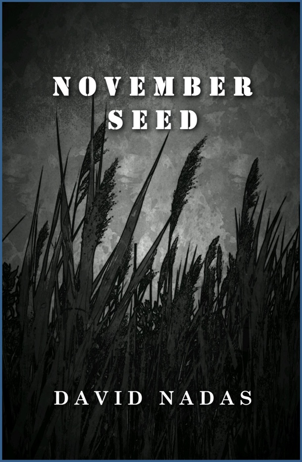 Sci-Fi thriller November Seed by David Nadas
