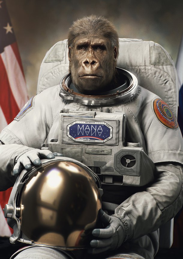 A gorilla posing for a publicity shot in a spacesuit.
